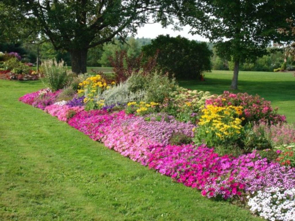 ... Path: Amazing Garden Path Ideas With Modern Landscaping Decorations 11 Budget Landscaping Ideas For Outdoor - Interior Design Inspirations