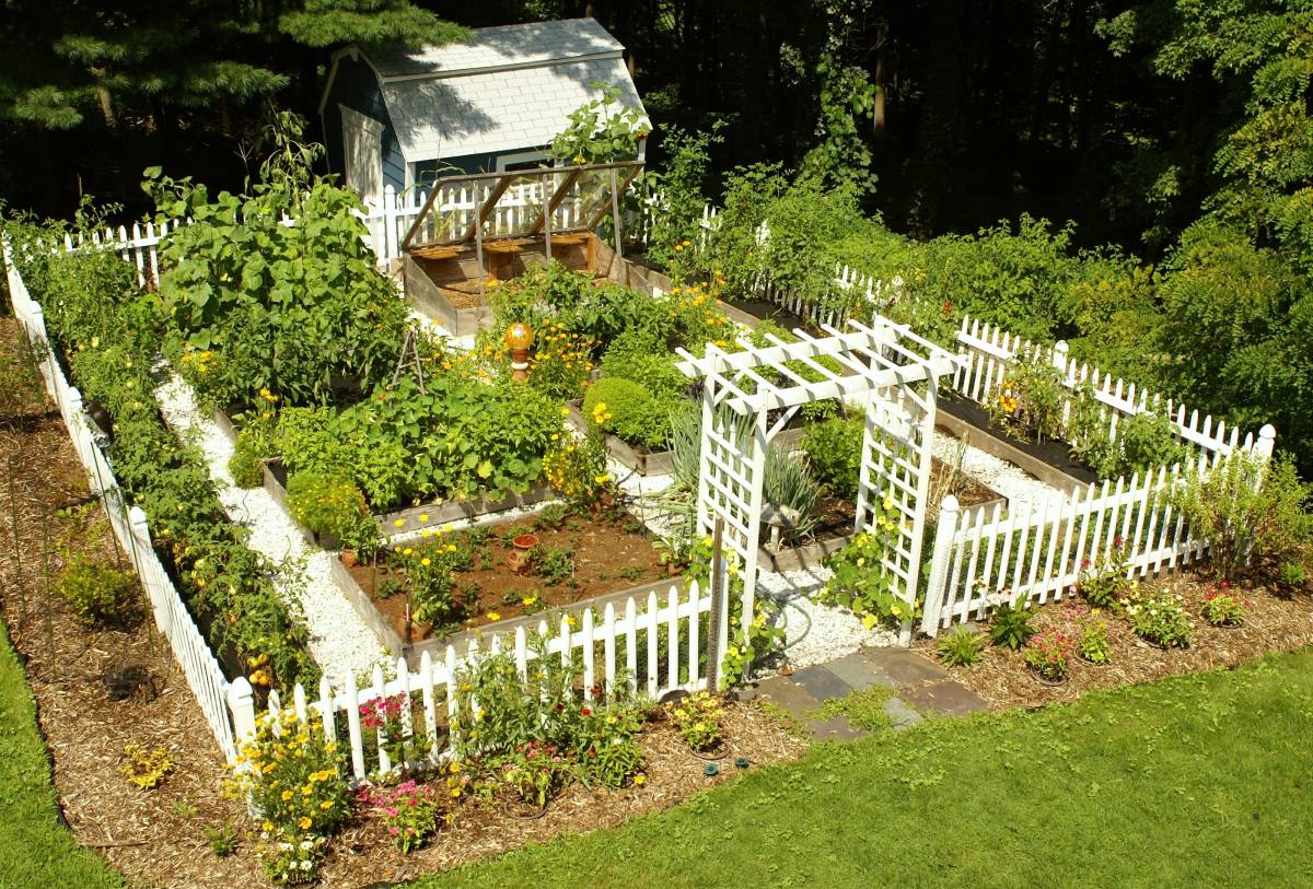  home vegetable garden design ideas
