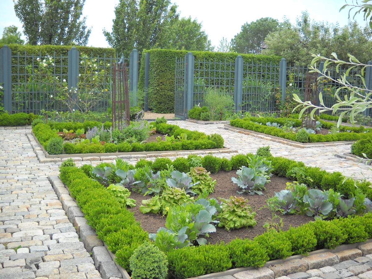  small vegetable garden designs