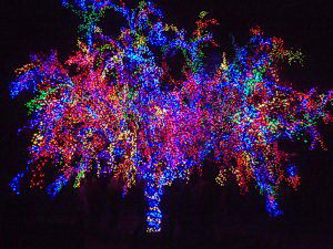 Holiday Light Tours Hampton Roads