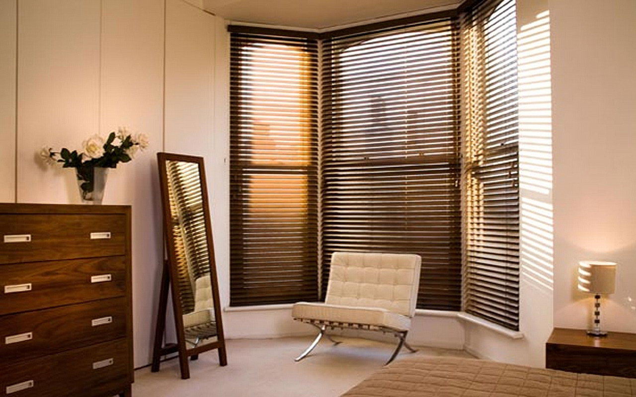 Venetian Blinds - different look Venetian Blinds - different look