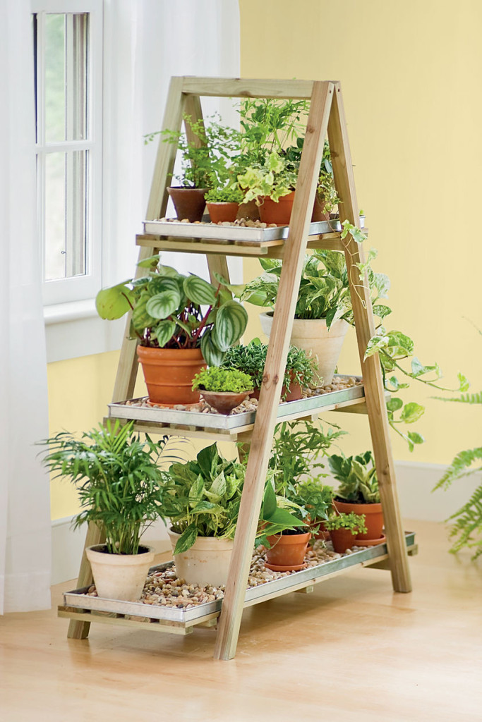 Ladder bookshelves remodeling