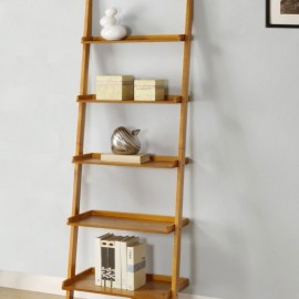 Ladder bookshelves