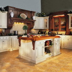 kitchen cabinets ideas pictures