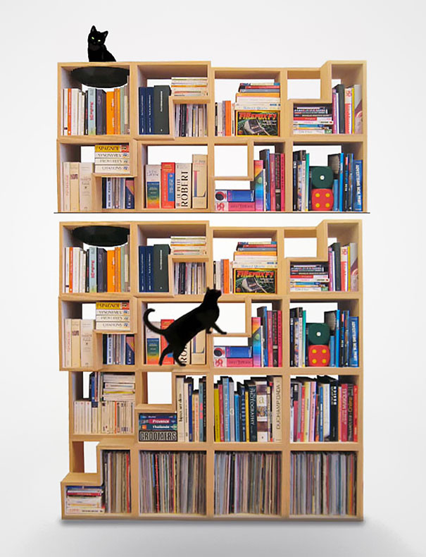 The Cat-Library