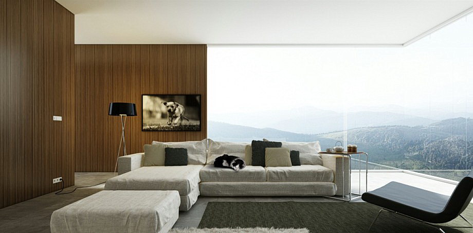 Wonderful Living Room Decorating Ideas With White Sofa And Glass Wall Design