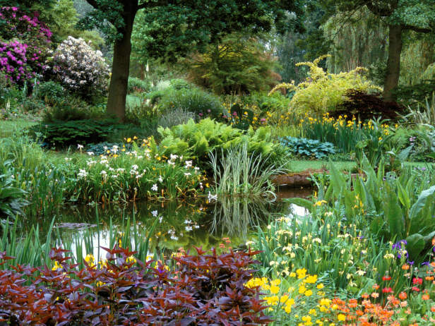Backyard Pond is Tranquil Garden Feature