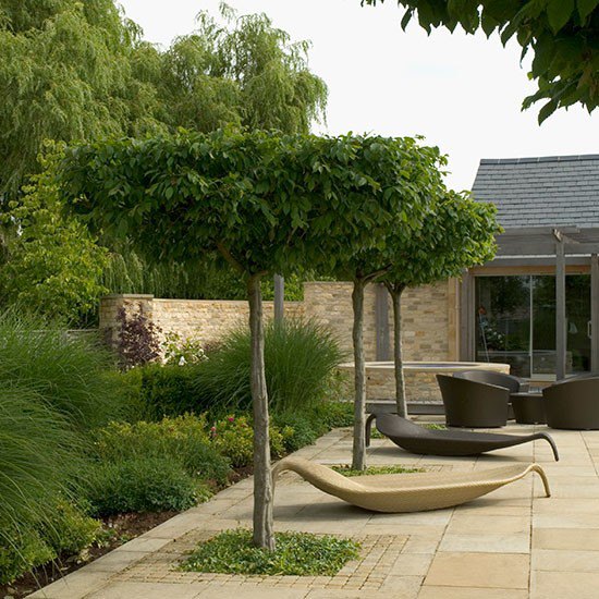 Modern patio garden with Carpinus betulus, outdoor seating and leaf-shaped lounger