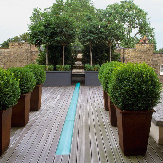Contemporary roof garden with decking and box balls