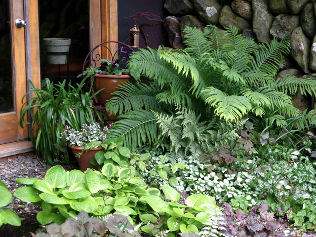 shady backyard landscaping ideas