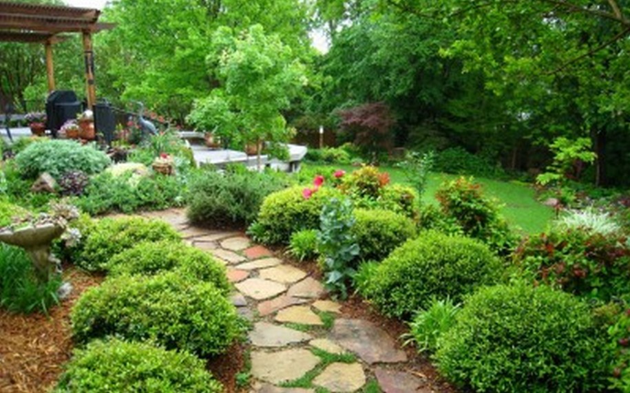 kids garden children backyard beautiful