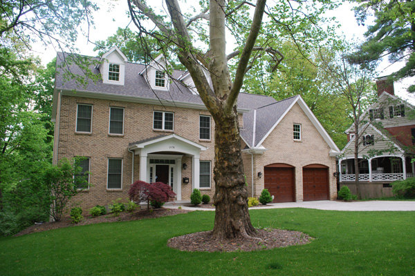 Large tree in a home's front yard