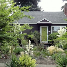 A native garden planted in a front yard | House landscaping