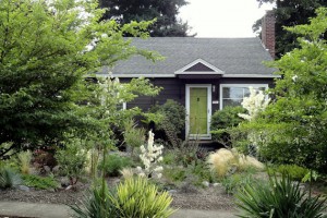 A native garden planted in a front yard | House landscaping
