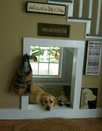 indoor dog house