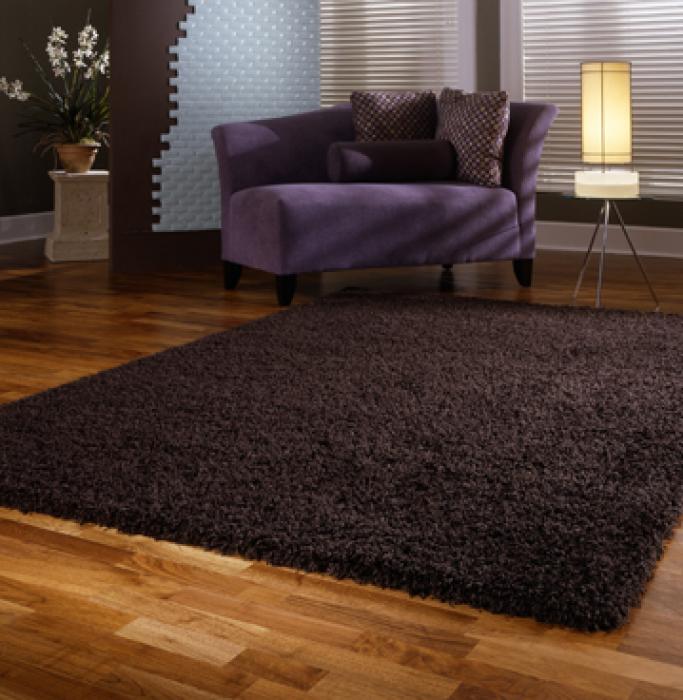 living room design ideas area rugs