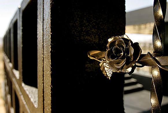 rosa muerta dead rose black rose What Happens When a Punk Rocker Designs a desert house?