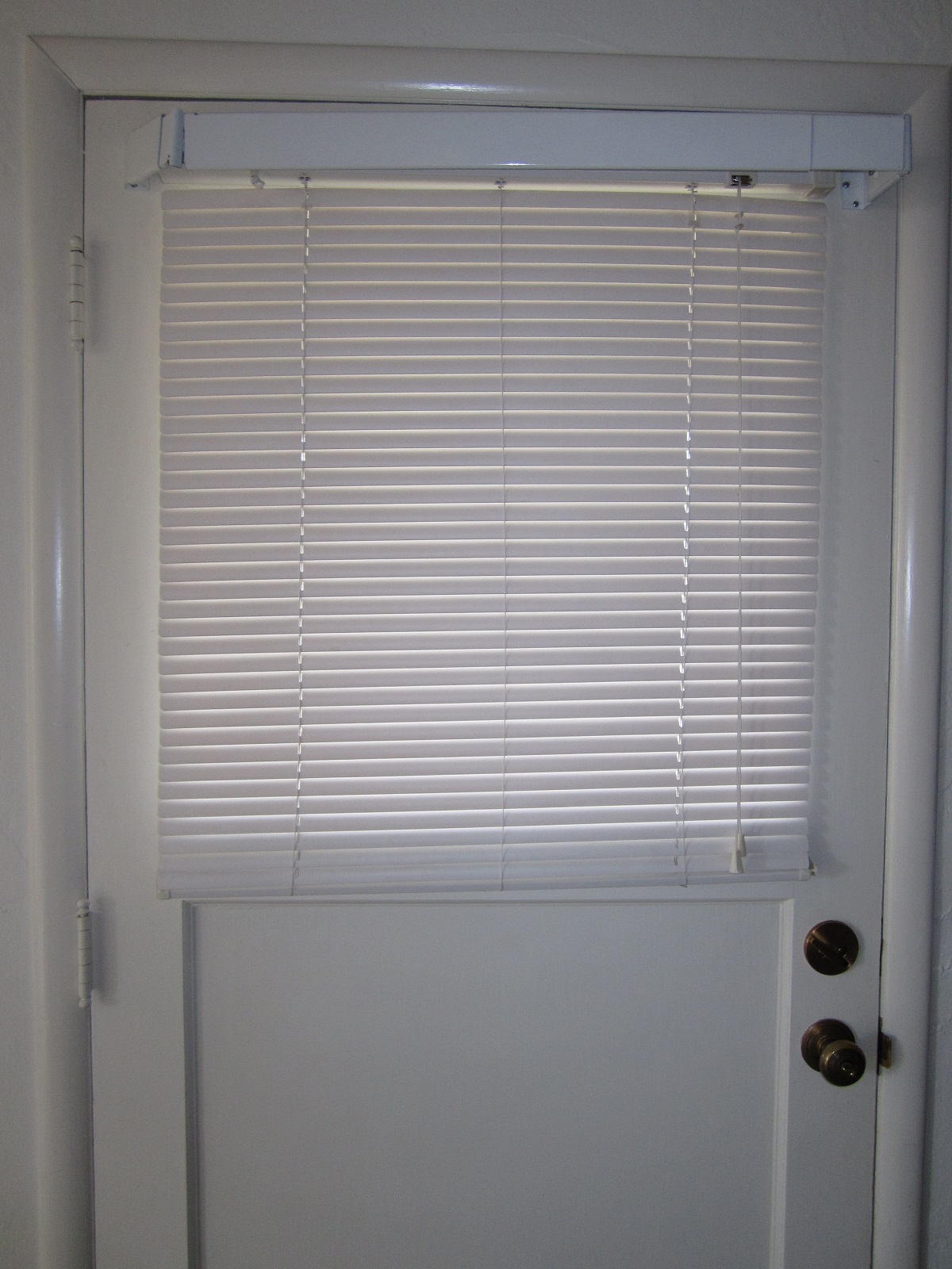 front door blinds