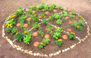 How to make a pizza garden with kids by DIY Network