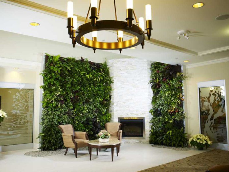 green wall decoration in modern living room picture
