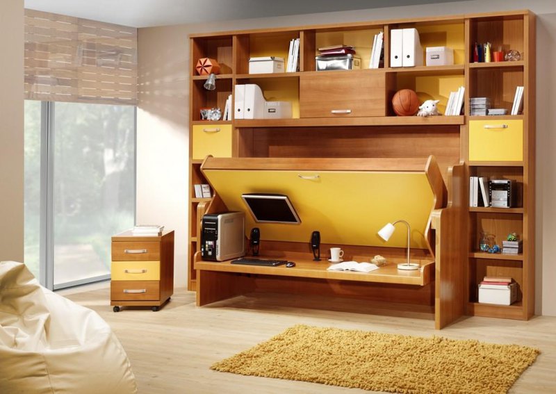 built-in shelving and pull out bed