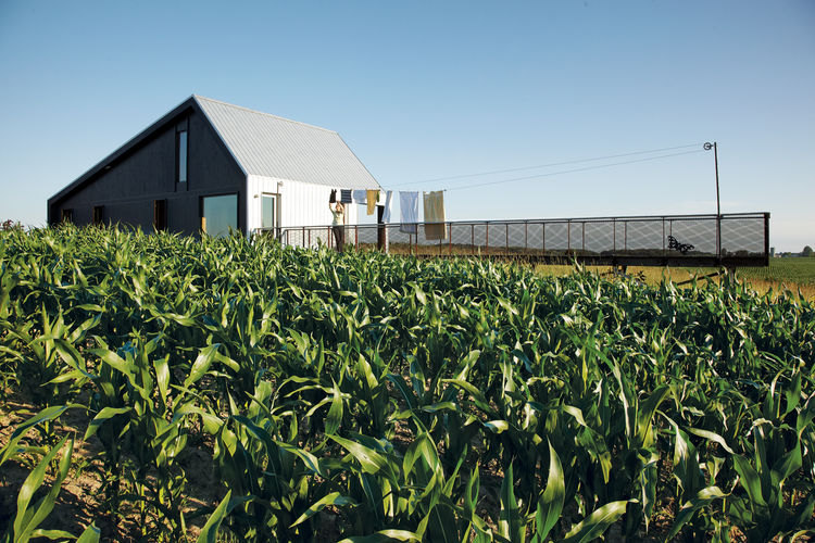 maggie treanor, huron county, ontario, farmhouse, modern