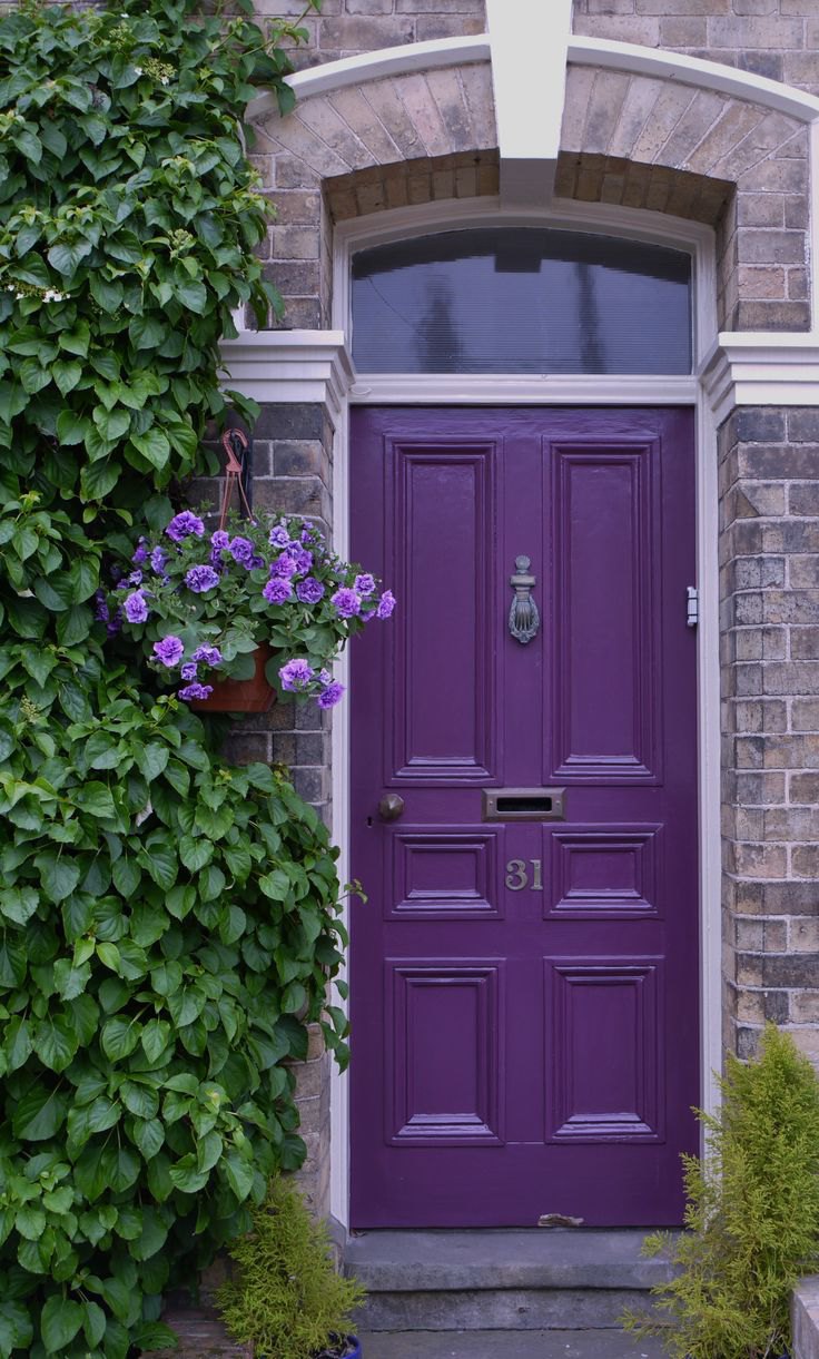 Purple front door paint