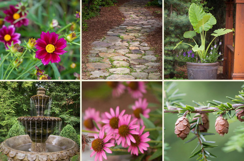 nature stone paths pine trees cones pink perennial flowers fountain