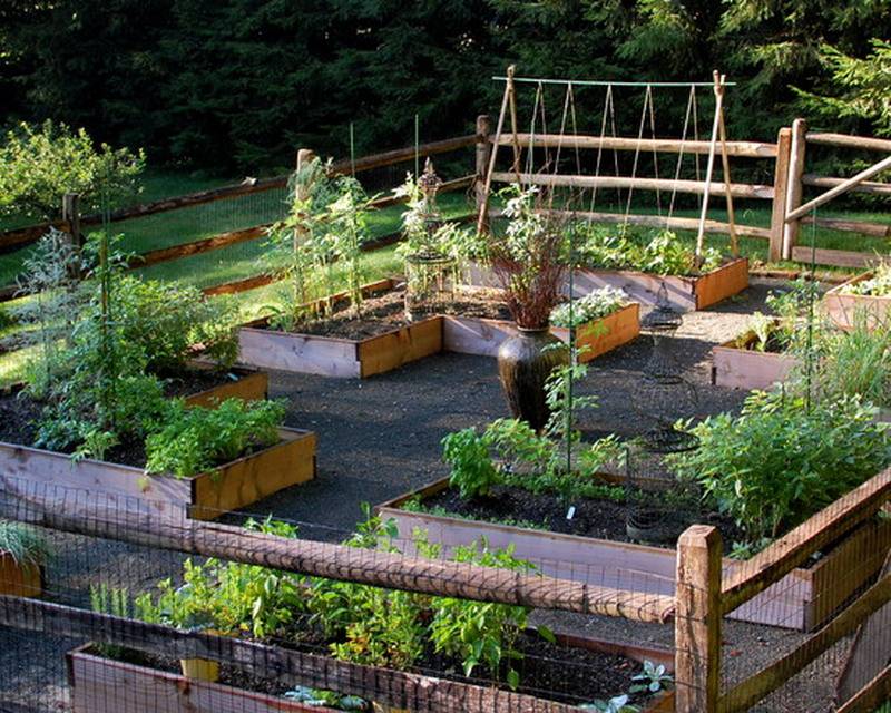 11 - home vegetable garden designs