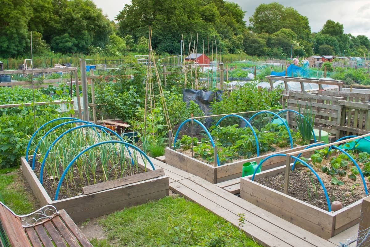 15 - vegetable garden designs