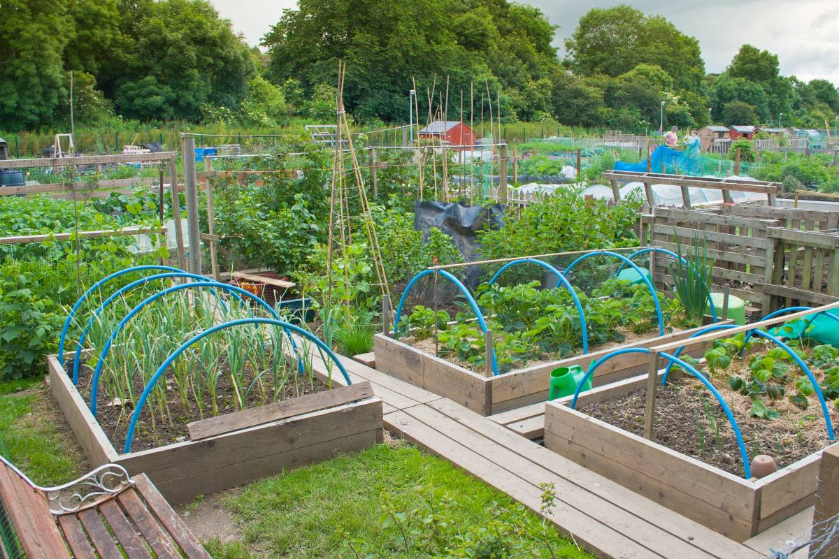 20 Impressive vegetable garden designs and plans - Interior Design