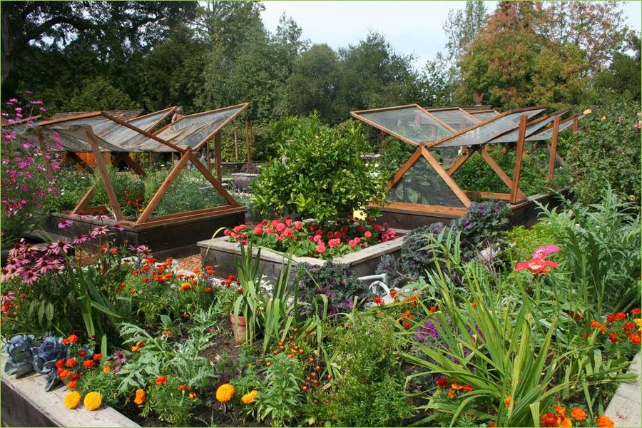 18 - vegetable garden design with flowers