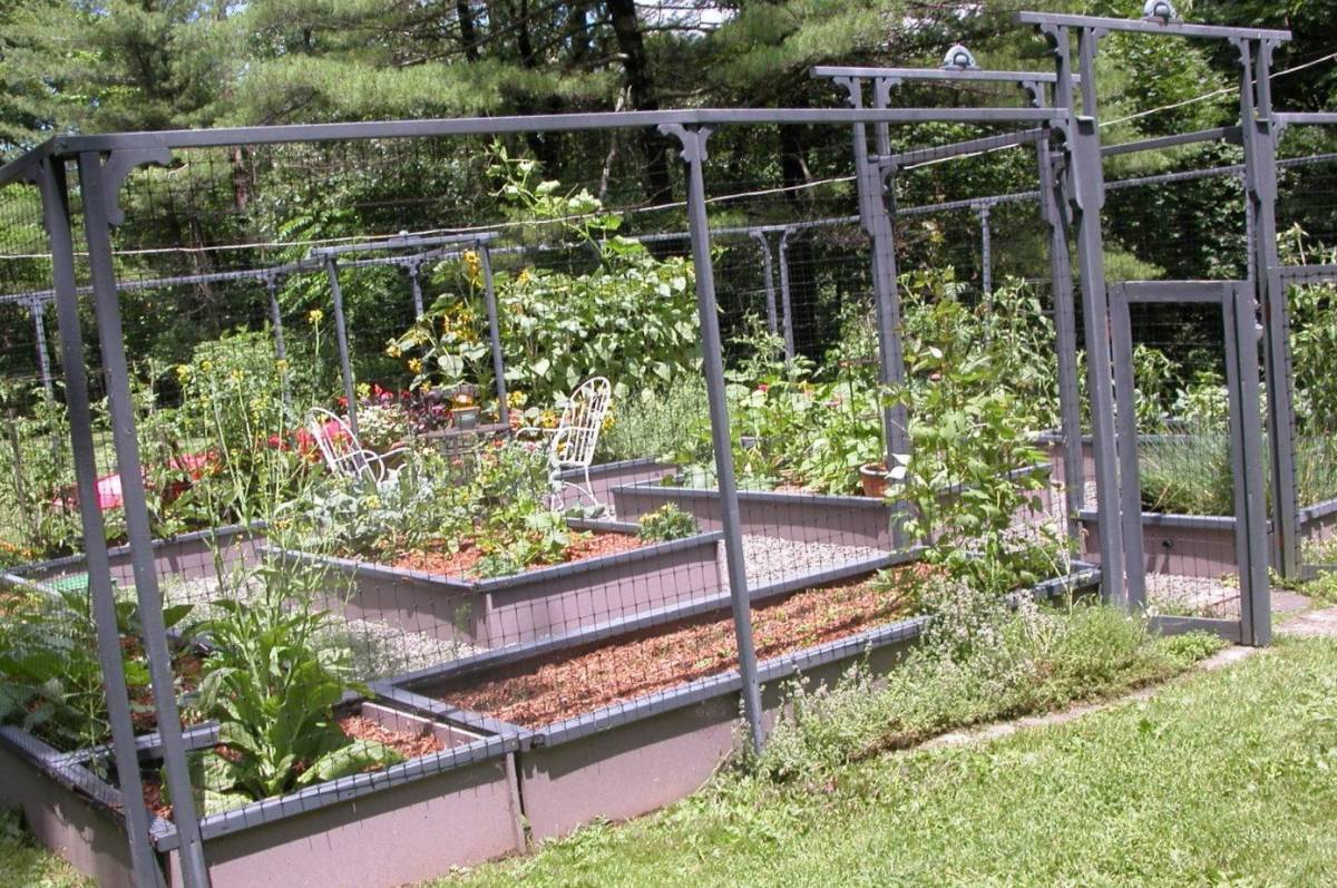 19 - vegetable garden ideas