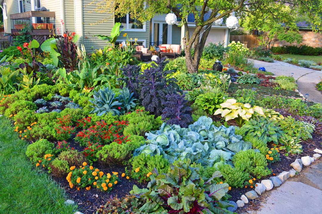 20 - vegetable garden decorating ideas