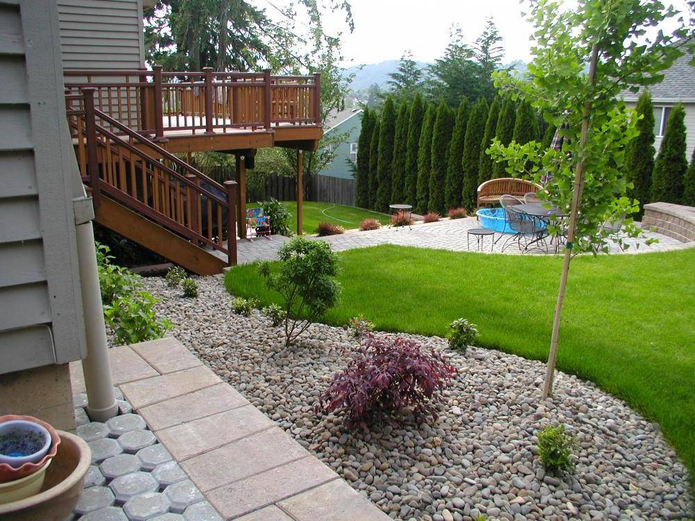 backyard landscape design without grass