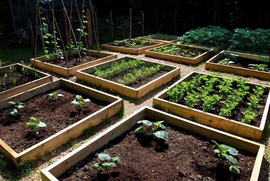 3 - vegetable garden designs