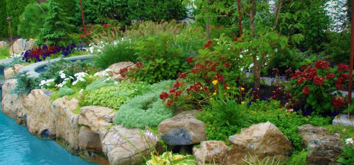 30+ Cottage Garden Ideas With Different Design Elements