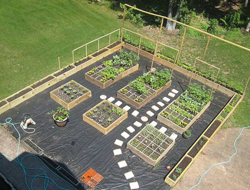 4 - vegetable garden plans