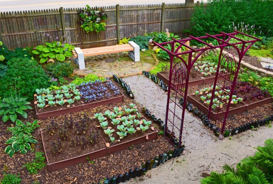 45 - backyard garden ideas vegetables