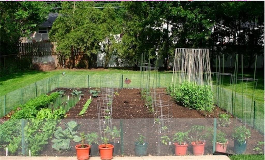 46 - backyard landscaping ideas vegetable garden