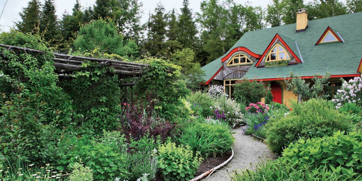 6 - backyard landscaping ideas on a budget