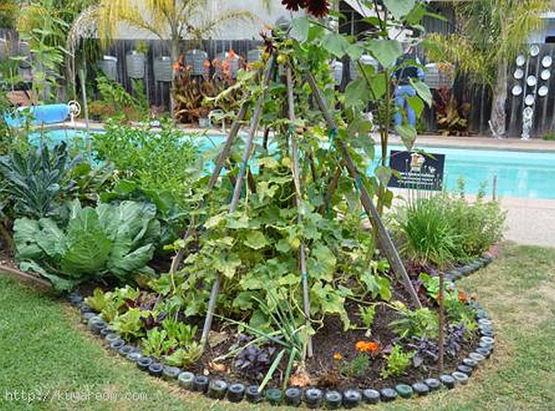7 - vegetable garden designs