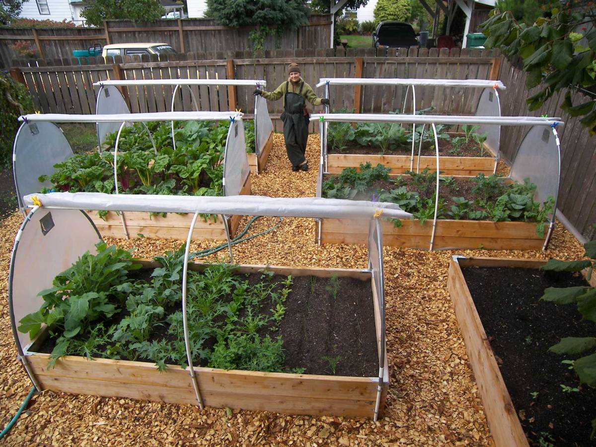 9 - vegetable garden designs