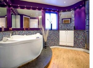 Bathroom Designs In Purple