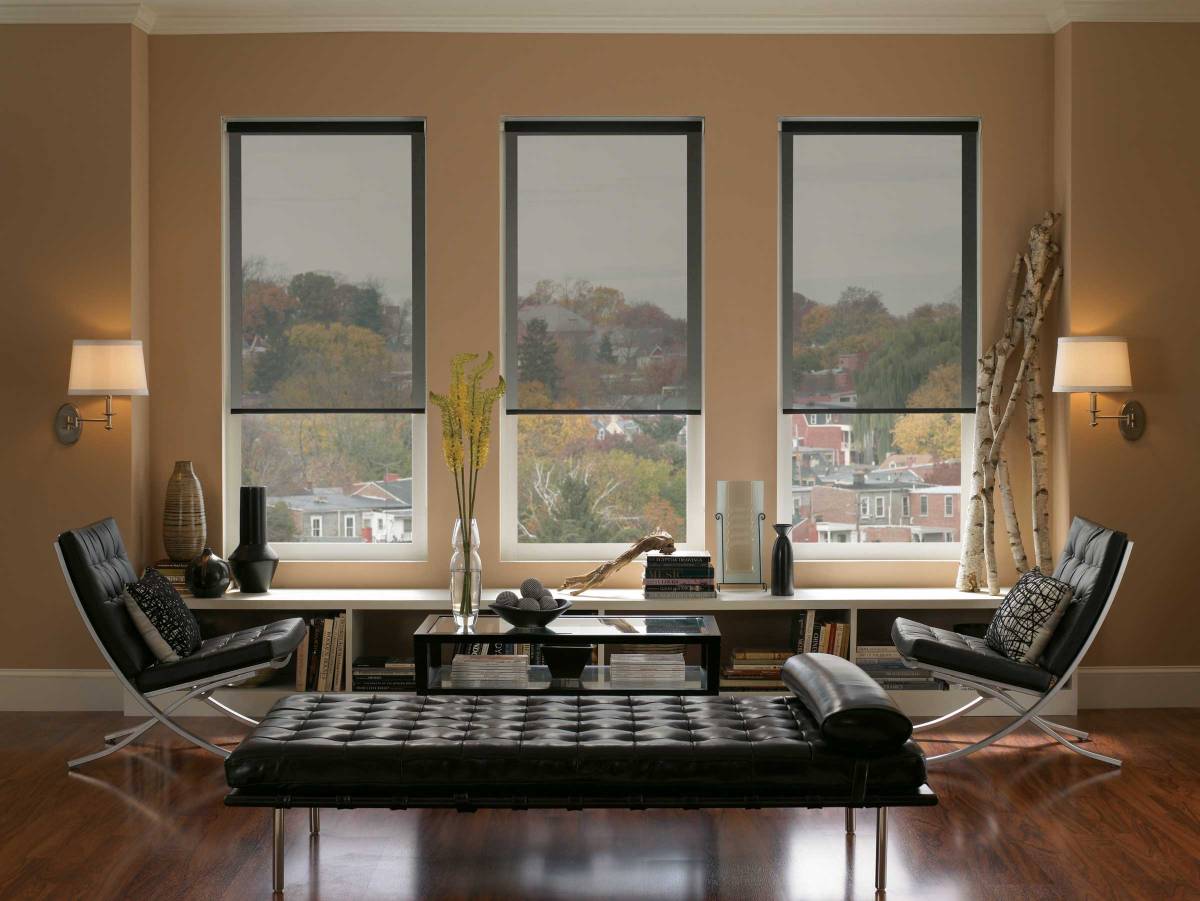 Cool idea for windows with sidelights in living room