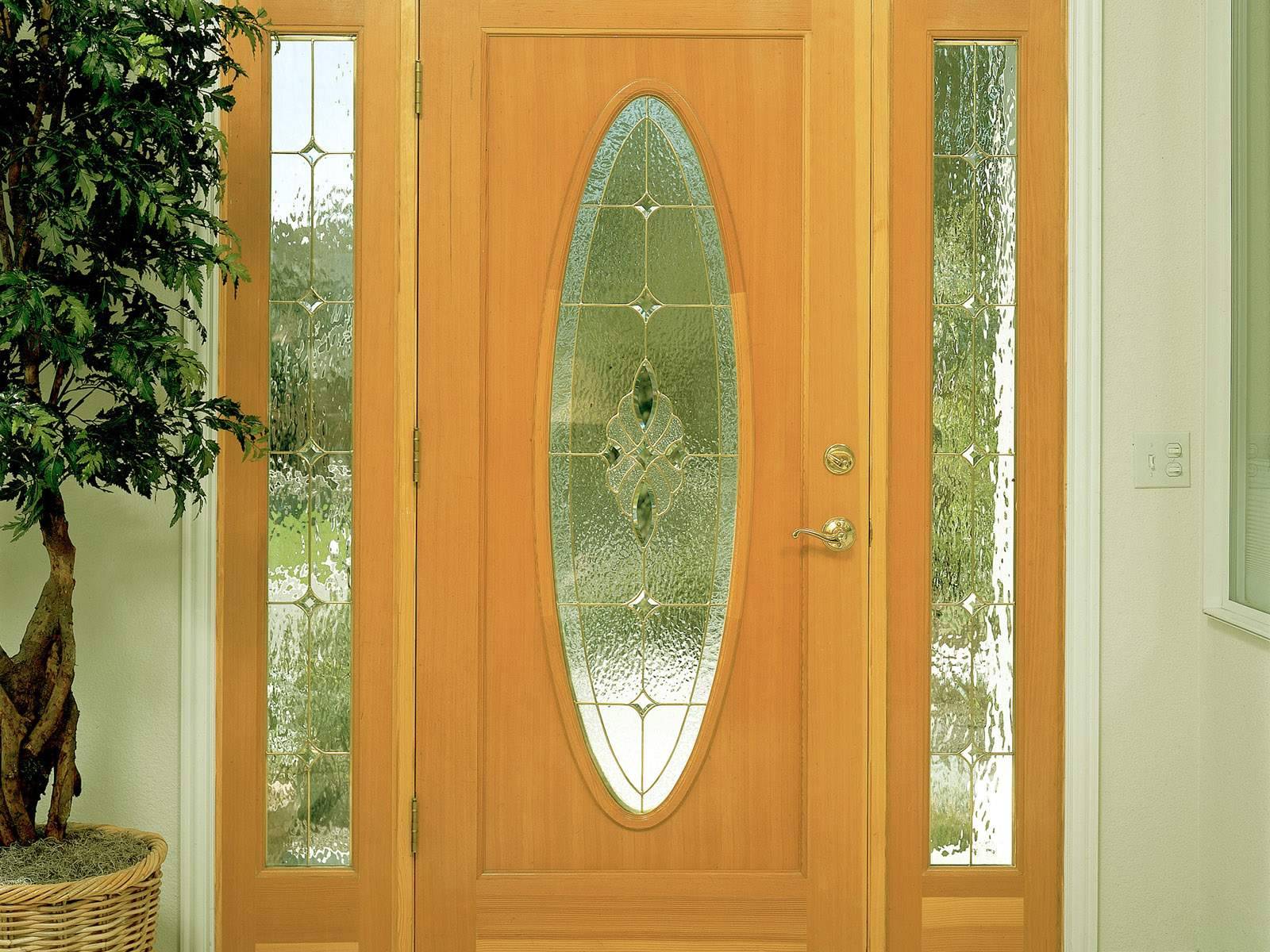 Front doors with glass