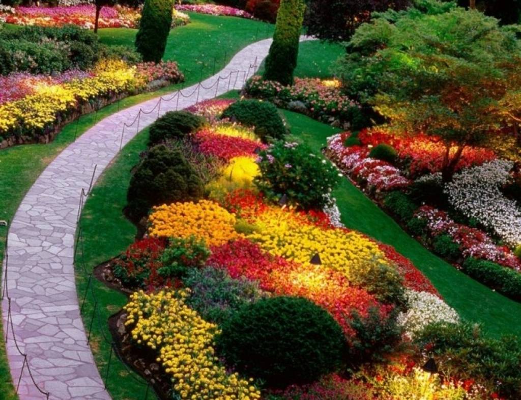 flower garden along with perennial flowers garden design