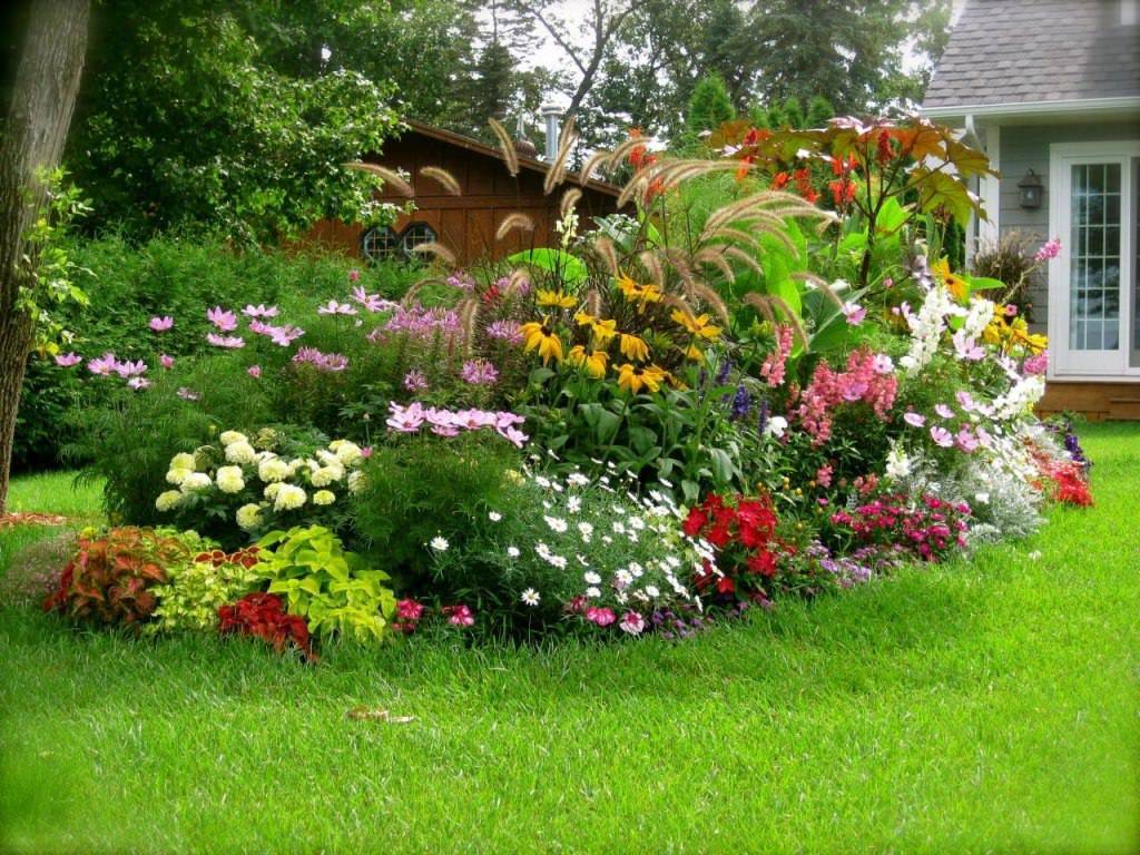  perennial flower garden layout