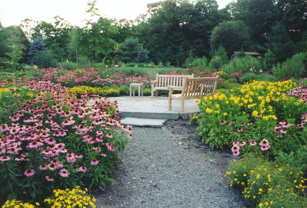 perennial flower garden design plans