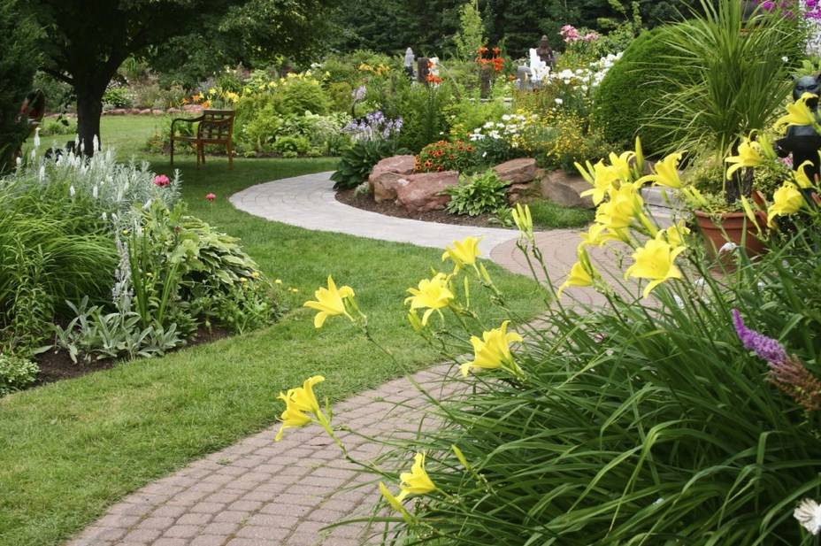 perennial flowers garden design